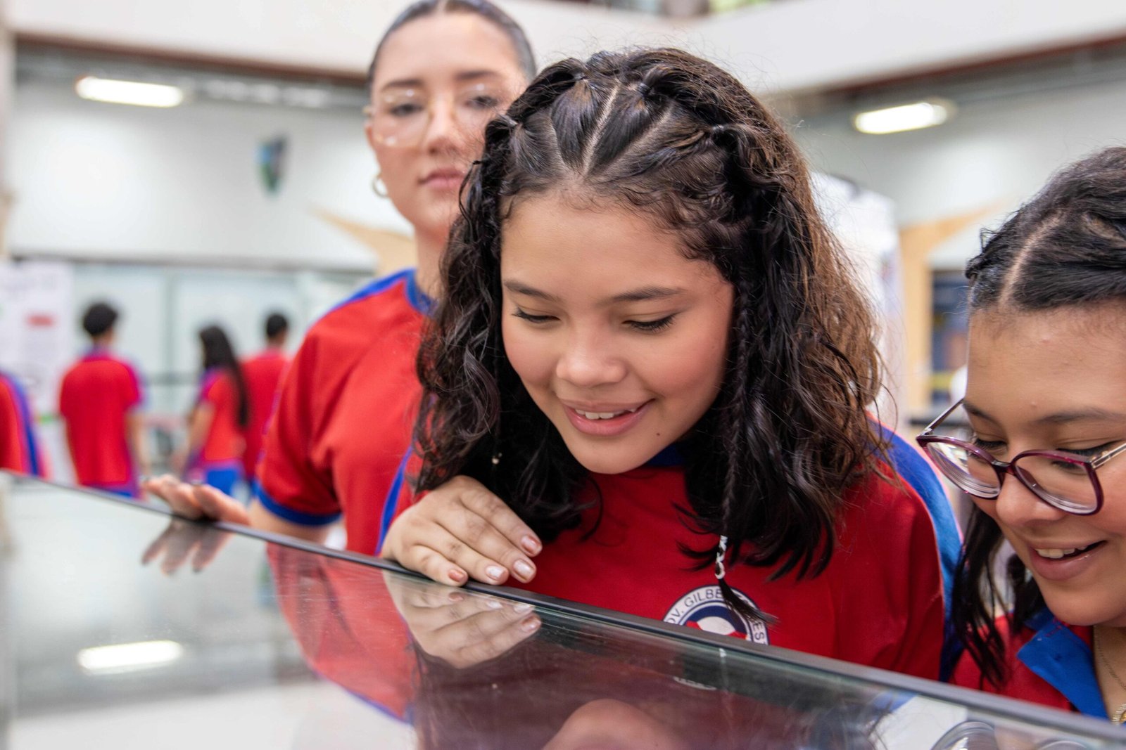 4cd42a870e94c6988e97e1288e1745a8