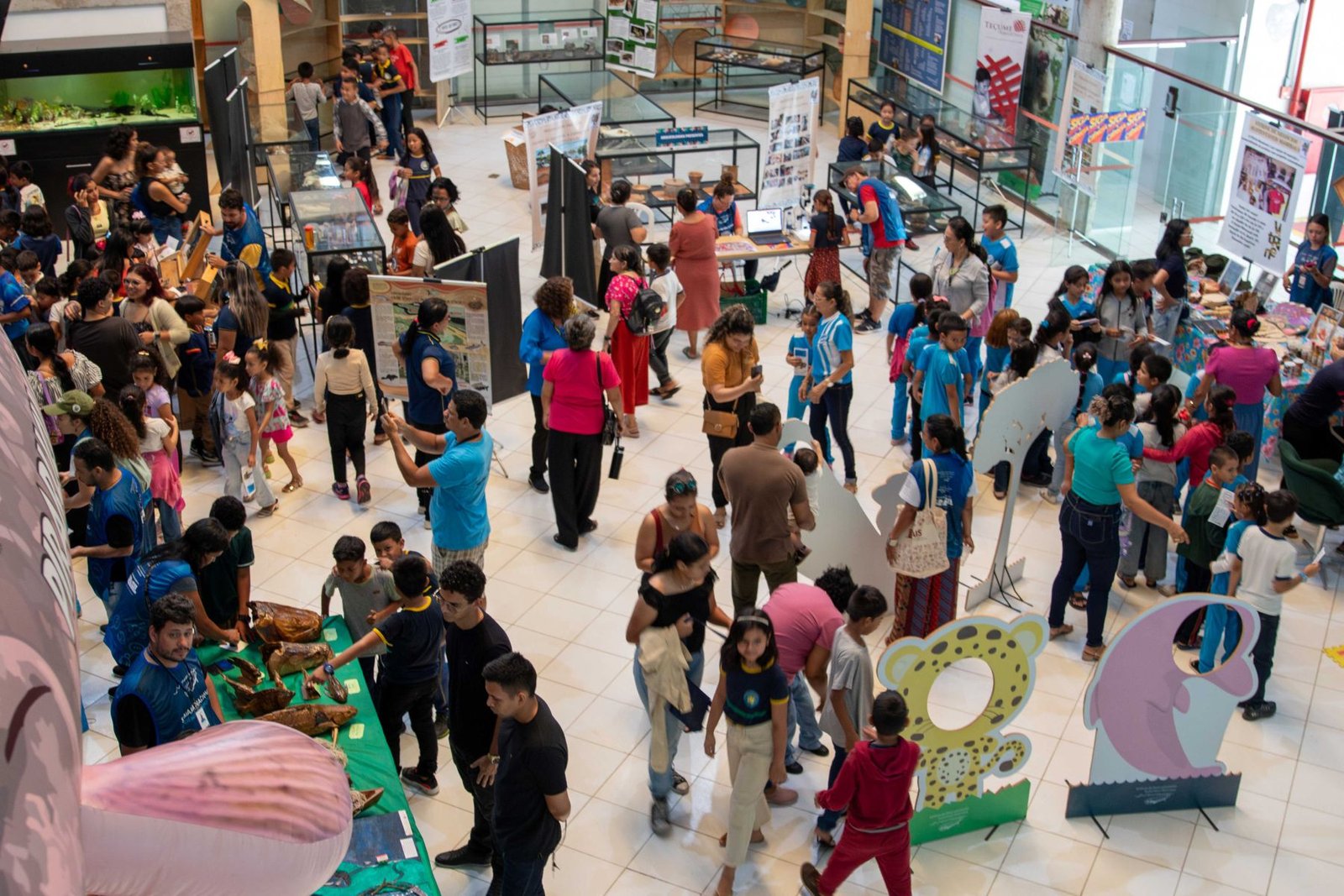 Instituto Mamirauá promove atividades educativas e culturais no Amazonas durante a Semana do Meio Ambiente 2025